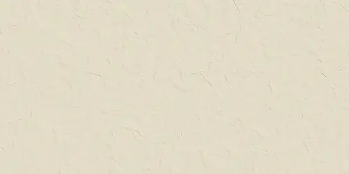 Logan BONE 60х120
