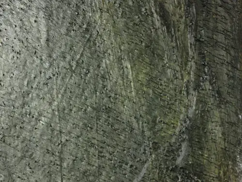 L`Antic Colonial Slate Камень Delhi Natural Home BPT 30x60