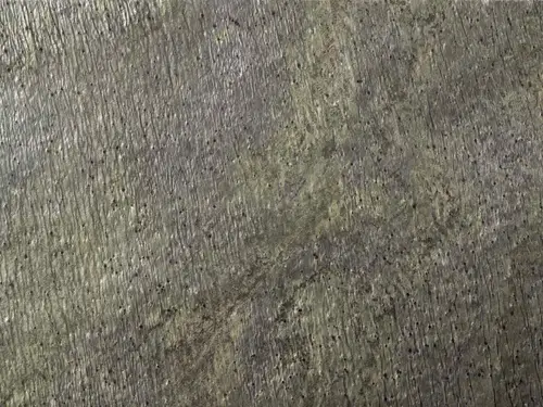 L`Antic Colonial Slate Камень Delhi Pulido BPT 30x60