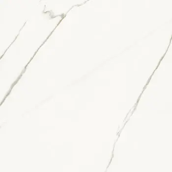 Керамогранит Aesthetica Ae EXT6 120 LP (AEEXT6120LP) Неглазурованный 120х120