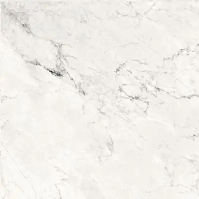 Керамогранит Aesthetica Ae CAL6 120 RM (AECAL6120RM) 120х120
