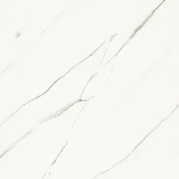 Керамогранит Aesthetica Ae EXT6 120 RM (AEEXT6120RM) Неглазурованный 120х120