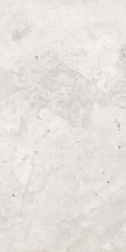 Керамогранит Amazing Grigio Rett 60x120