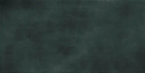 Laminam Calce Nero 5 100x300