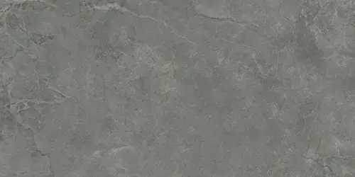 Pluto Grigio Керамогранит серый SG50005320R 60х119,5 матовый