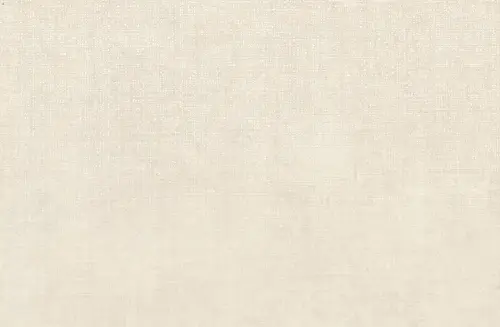 Lea Ceramiche Slimtech Take Care C-Snow Nat 5 Plus 100х150