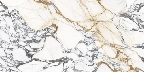 Marmi Calacatta Paonazzo Full Lappato 160x320