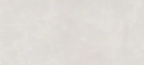 Living Ceramics Still Light Grey Soft 59.8х119.8