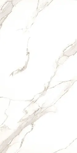 12210R CARVING 60х120