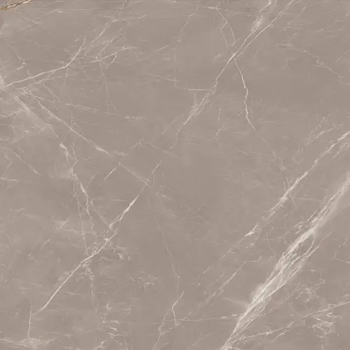 Slabs Prestige Dove High Glossy 120х120