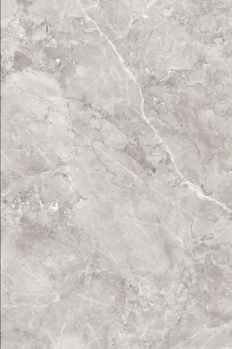 Slabs Castel Grey High Glossy 180х120
