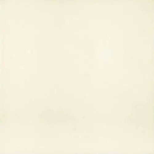 Mainzu Zellige Victorian Blanco 20x20