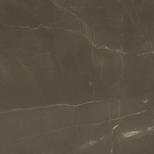 Плитка Allmarble Pulpis (60x60)