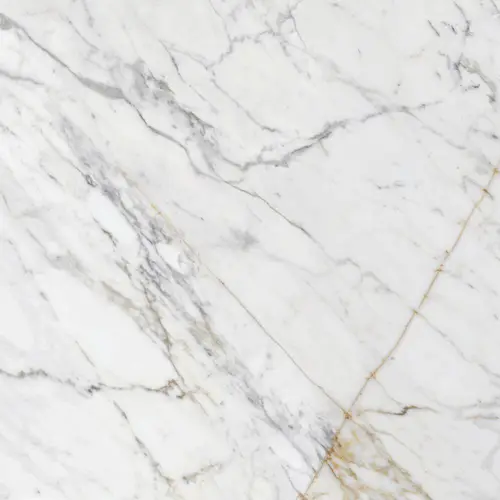 Плитка Allmarble Golden White (60x60)