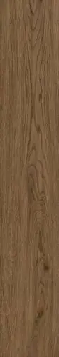 I874 Elisir Royal Castano 20х120 RT
