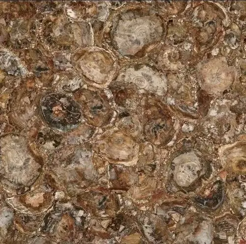 MC-SP09 Petrified Wood (Round) (Compound With Granit) 100х100