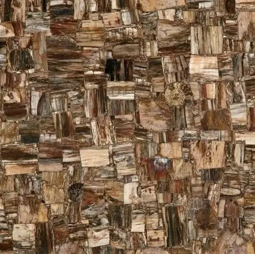 MC-SP10 Petrified Wood (Party) (Compound With Granit) 100х100