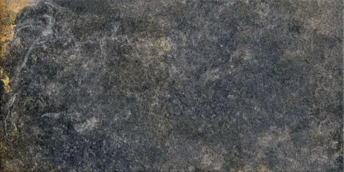 Iconic Oxido 60x120