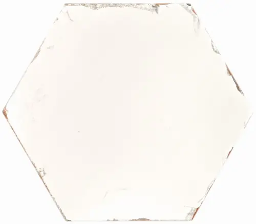 Monopole Studio Ivory 20x24