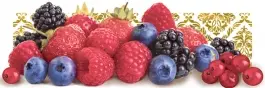 Monopole Tutti Frutti T.Frutt di Bosco 10x30