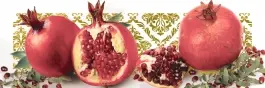 Monopole Tutti Frutti T.Frutt Melagrana 10x30