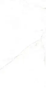 White Nt R 60х120