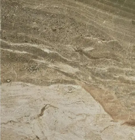 Daino Reale Natural 45X45