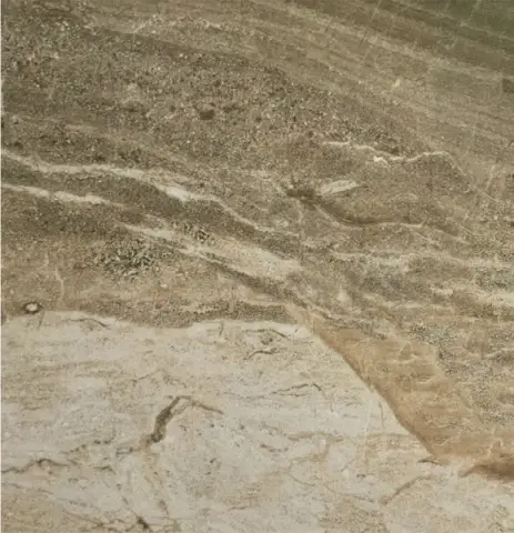 Керамогранит Navarti УТ000007818 Daino Reale Natural 60.8х60.8