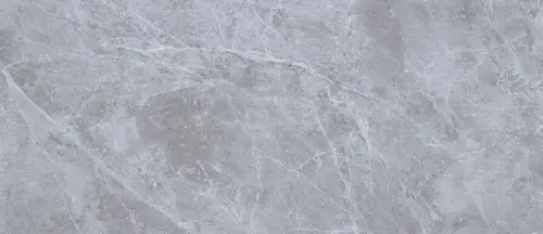 NEODOM Belgium Grey Polished 120х270