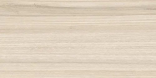 New Trend Essense Beige 24,9x50