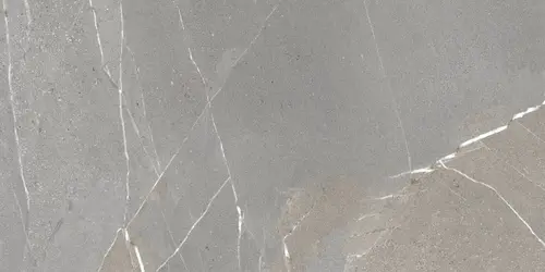Керамогранит NTTHS99809K Axion Shiny Slate Sugar Lap 60x120