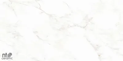 Керамогранит Marmo Marble Extra Endless Mat 60x120