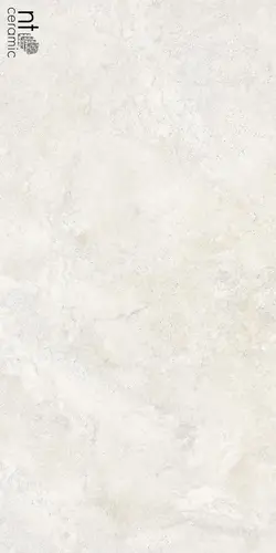 Zeus Travertine Bianco 60x120