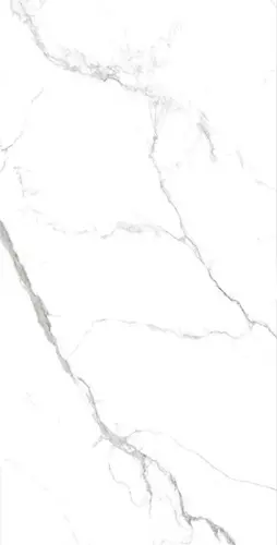 STATUARIO GRIS Glossy 60х120