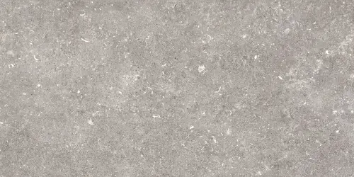 Керамогранит 096.022.0002.00206 Dover Gris MT Rect 60х120