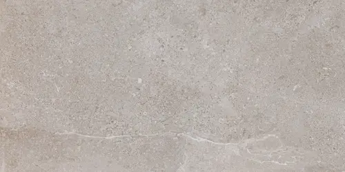 Pamesa Ceramica ES.ERDING ASH LUXGLASS 60x120