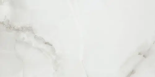 Pamesa Marbles Полированный Fenix Gris 60x120
