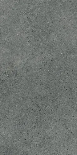 Paradyz Authority Graphite Mat 60х120