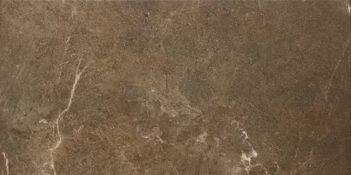 Керамогранит Paradyz 53955 Ibis Brown Szkl Mat 30х60