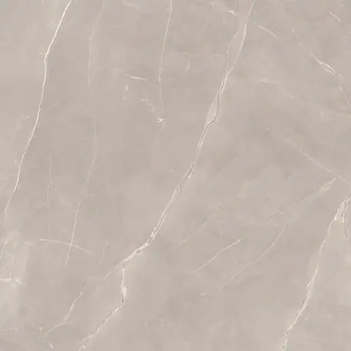 Paradyz Ritual Taupe Mat 120х120