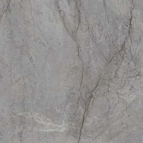 Paradyz Visioner Grey Poler 120х120