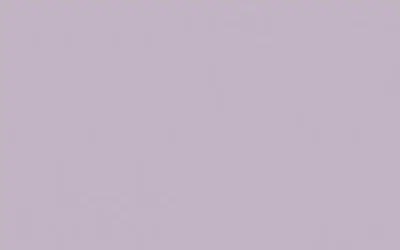 Paradyz Vivian Viola 25x40