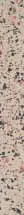 Petracers Carnevale Veneziano 8X80 Listello Beige Plus (CV8LBeigePlus)