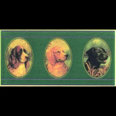 Petracers Grand Elegance Grand Elegans 10X20 (Bdogs)