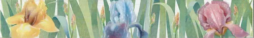 Бордюр настенный Fiori Cen. Ирисы 6х40