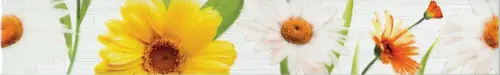 Бордюр настенный Fiori Cen. Ромашка 6х40