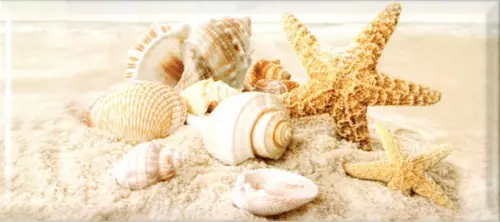 336763 Легенда Seashells 20х45