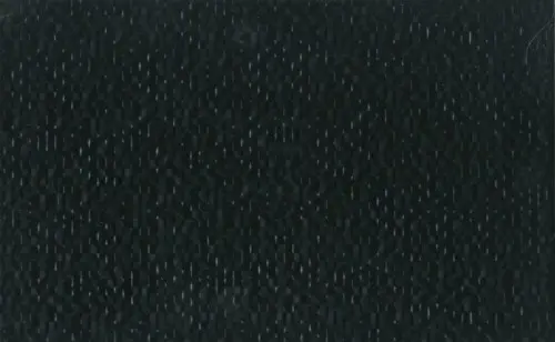 122993 Сириус Черная 25х40