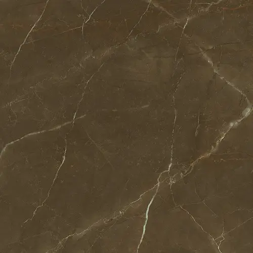 Porcelanite Dos 1804 Tabaco Pulido Rect. 98x98