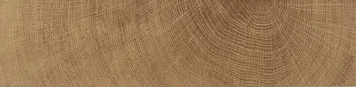 Oxford Natural Matt 29,4x120